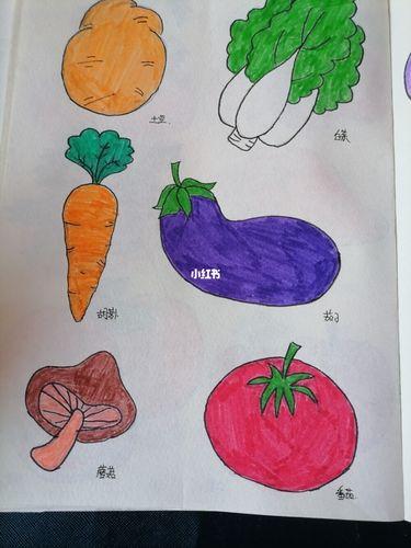 秋天的蔬菜是哪些简笔画