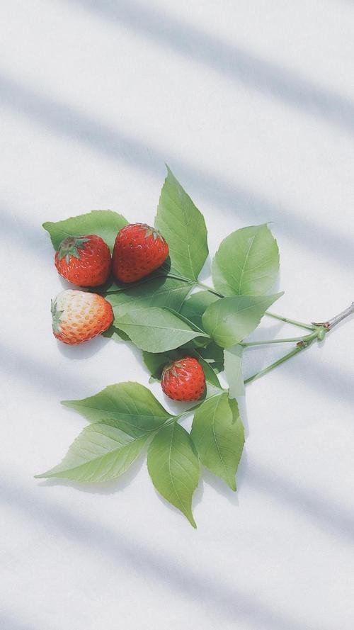 甜美小清新的草莓