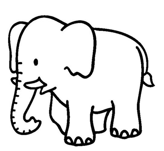 大象的简笔画简单漂亮