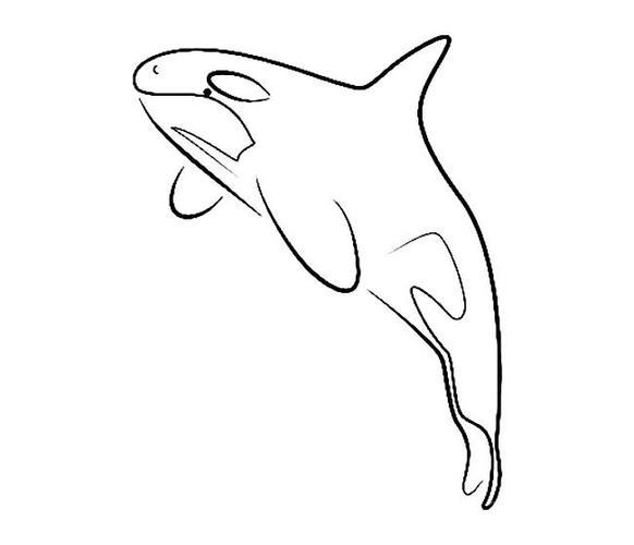 鲸鱼简笔画鲨鱼简笔画