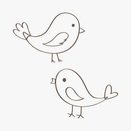 最新鸟简笔画简单绘画教程 鸟的画法简单又漂亮