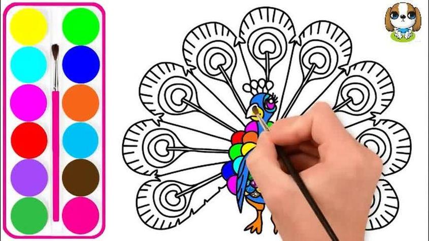 漂亮蝴蝶的简笔画图颜色简笔画系列-怎样画一只美丽的孔雀简笔画系列