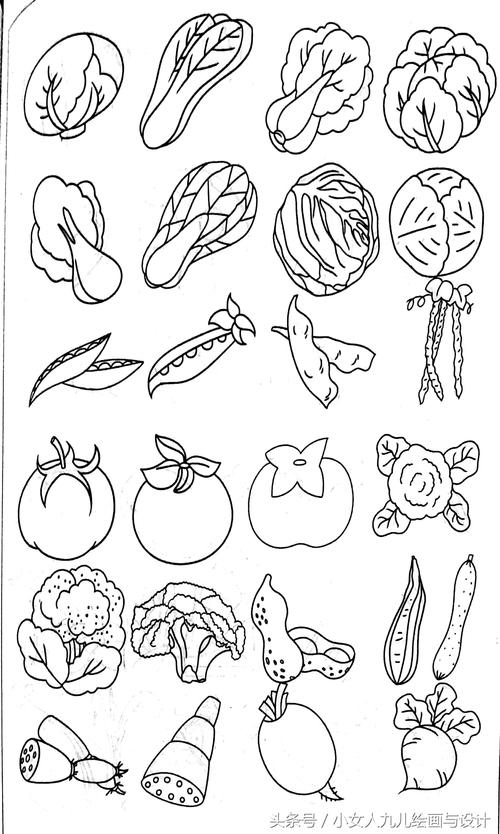 各种水果蔬菜简笔画线描稿素材简单实用幼儿园简笔画蔬菜有关蔬菜类简