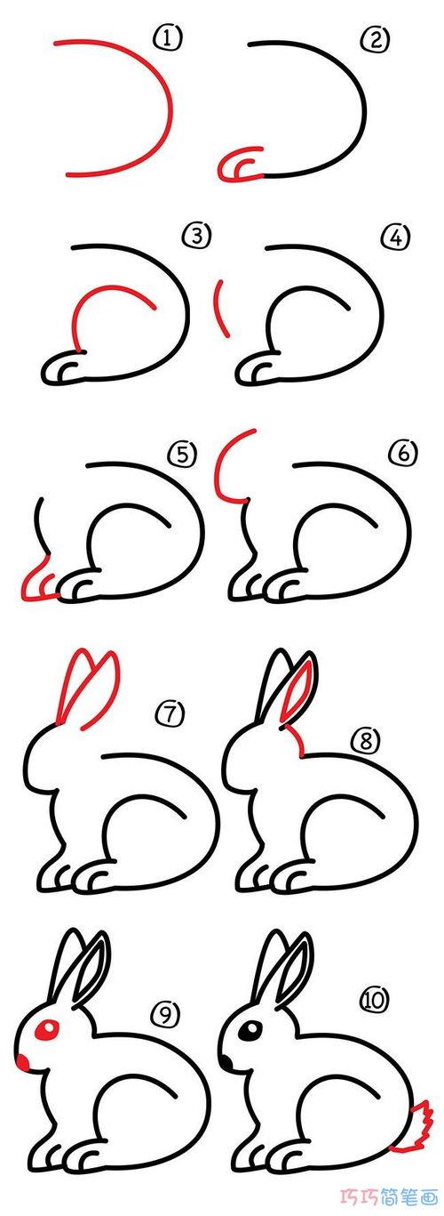 儿童简笔画教程画个小白兔