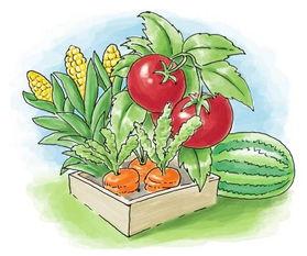 菜园怎么画菜园简笔画画法步骤教程丨peng的推荐内容管理小菜园的智能
