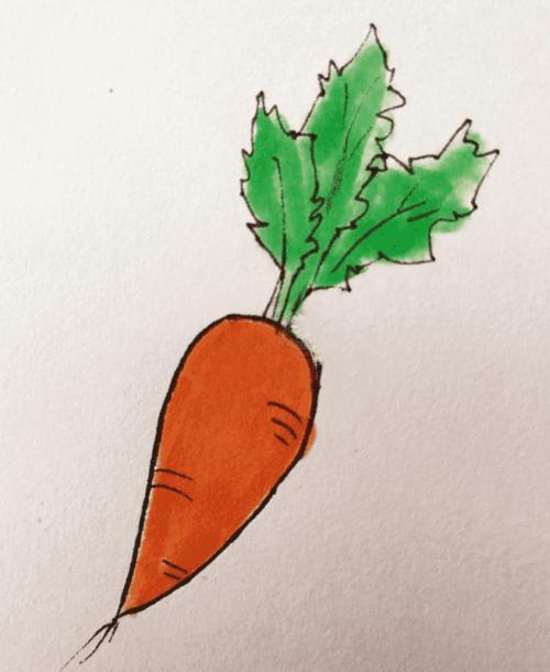 长在土里的胡萝卜简笔画图片