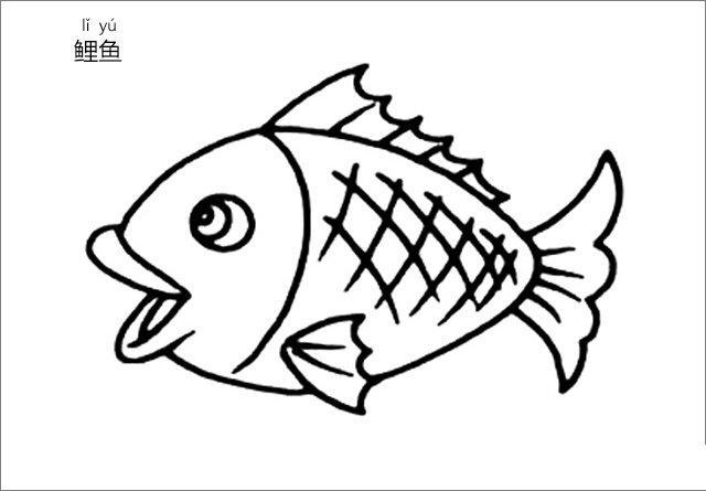 各种鱼简笔画图片及名称