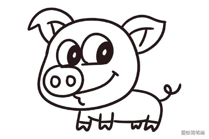 教我画猪的简笔画