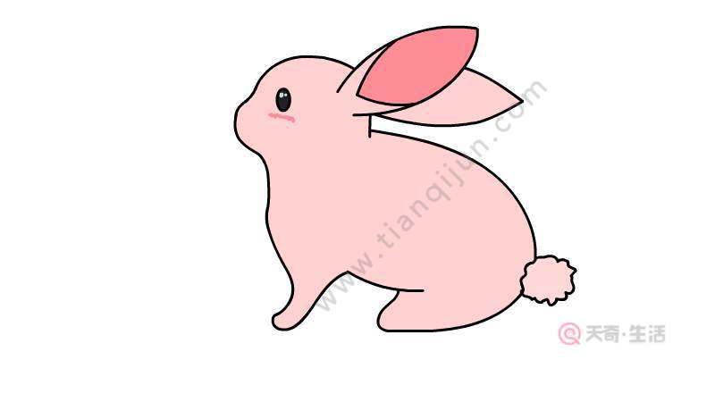 4-6岁儿童绘画兔兔简笔画