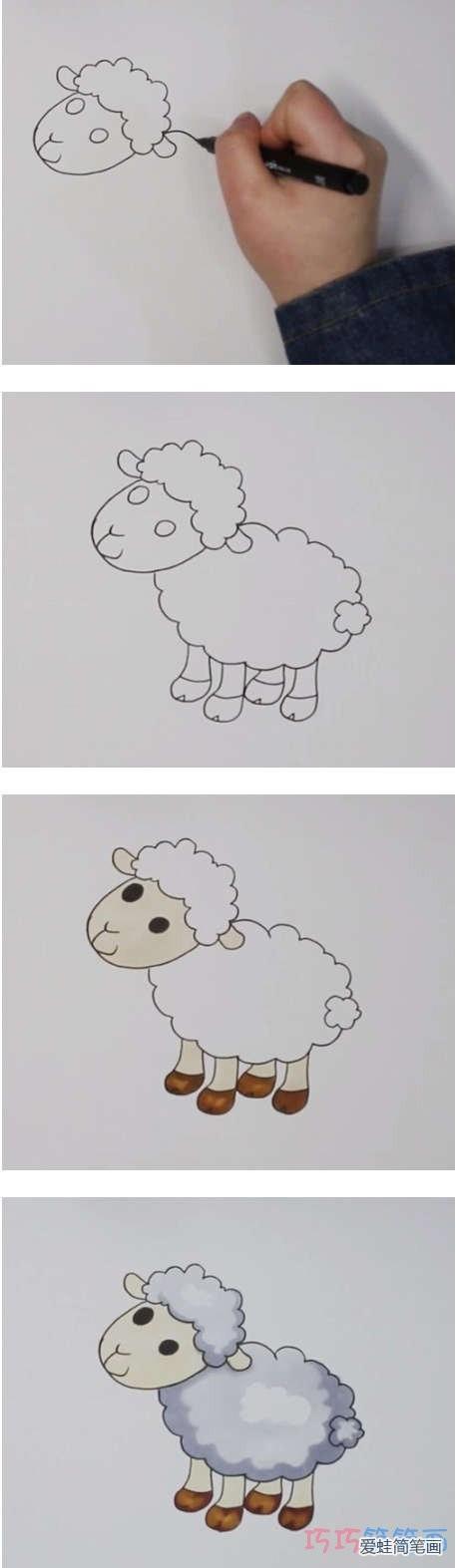 可爱绵羊简笔画简单