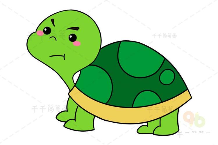 乌龟简笔画彩色 可爱 卡通
