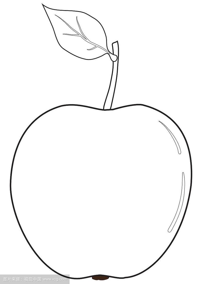 用叶子勾勒出苹果的轮廓