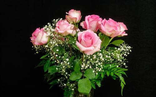 美丽的粉红色玫瑰花束与黑色背景上的白花,高清图片,壁纸 - 酷酷桌面