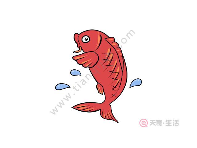红鲤鱼怎么画简笔画