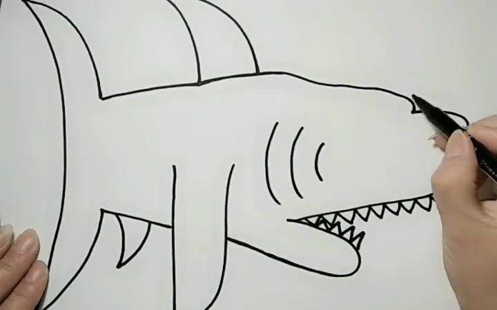 大鲨鱼简笔画 步骤