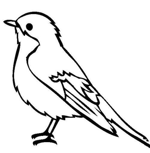 小鸟简笔画斑鹟鸟简笔画图片