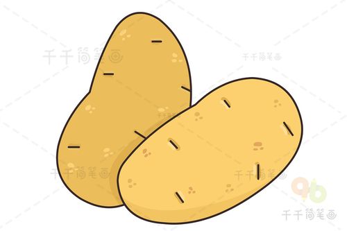 土豆简笔画简单