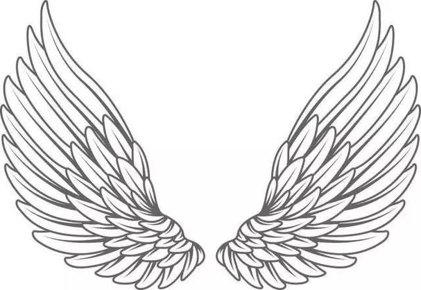 天使的翅膀简笔画 天使的翅膀简笔画图片