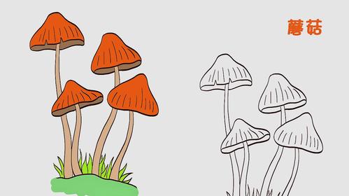 好看视频-简笔画大全,蘑菇(一) 服务升级 2蘑菇的画法2:这是一种伞盖