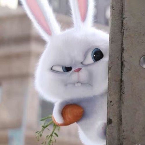 (如图)一只躲在墙后面抱着胡萝卜的兔子叫什么名字?