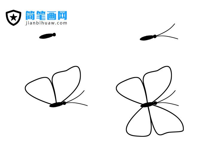 简笔画蝴蝶过程图片