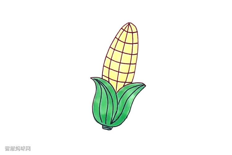 玉米粒简笔画图片带颜色