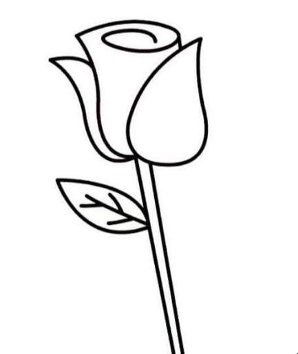 玫瑰花的简笔画怎样画