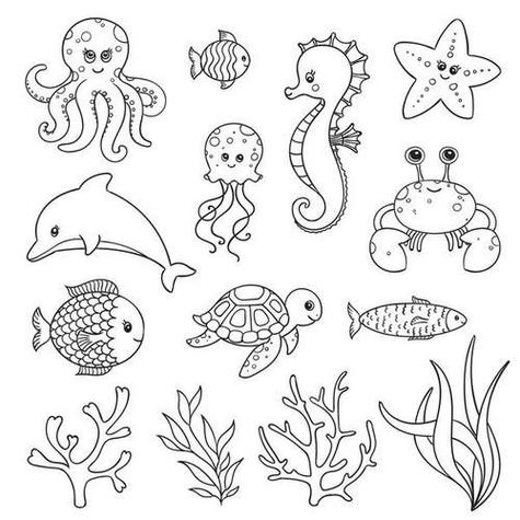 海底动物100张简笔画