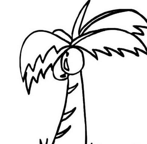 椰子树简笔画 儿童画图片