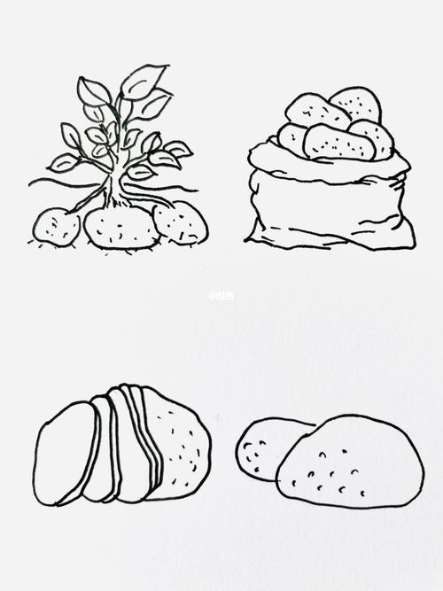 土豆08土豆简笔画图片土豆怎么画幼师day115关于马铃薯的简笔画马铃薯