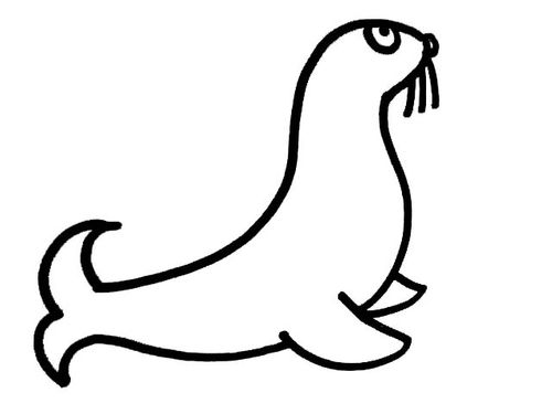 海狮简笔画图片大全可爱