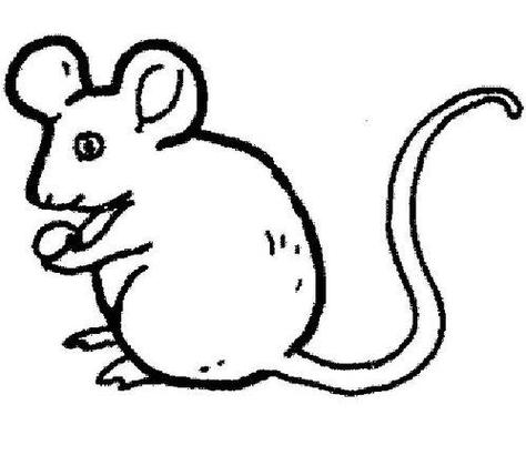 简笔画小老鼠怎样画小老鼠
