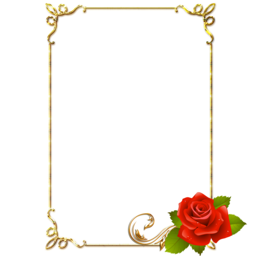 【免抠png素材篇】漂亮的金色与玫瑰花装饰框 - 浪漫人生 - .