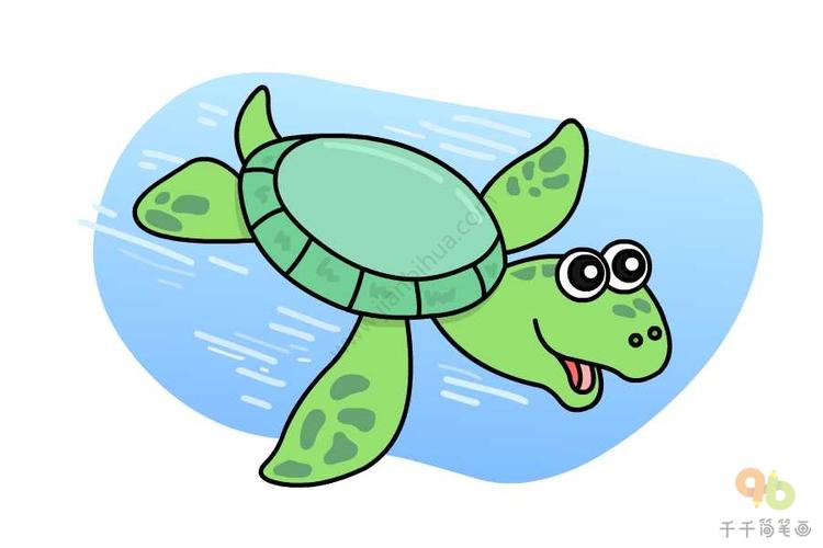 海龟简笔画图片彩色
