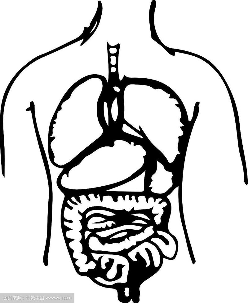 手绘人体器官图标涂鸦设计