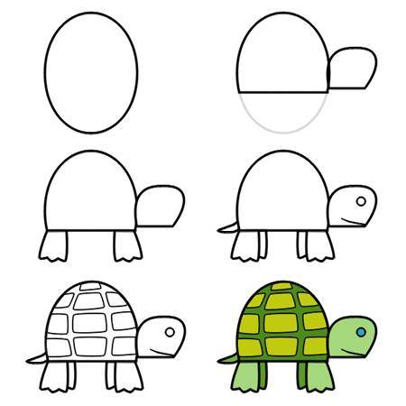 画乌龟的简笔画 步骤