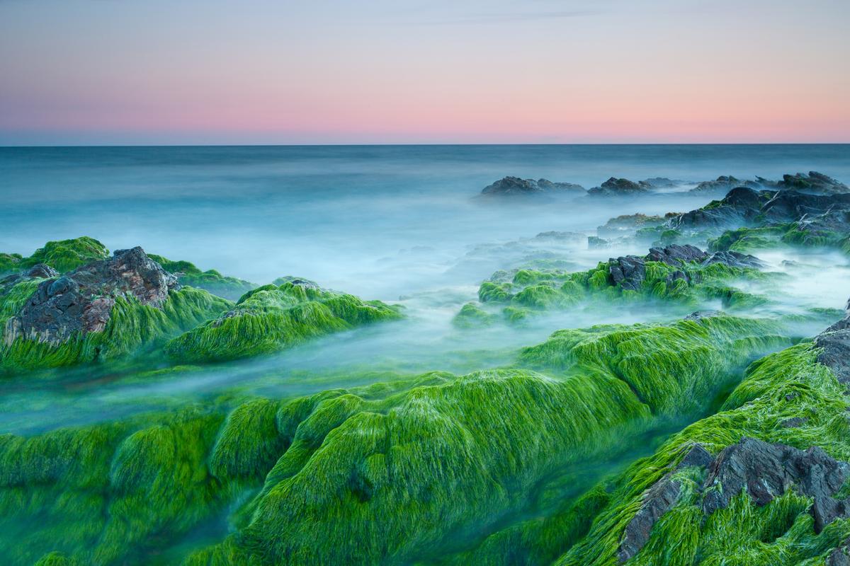 漂亮绿色的大自然风景壁纸