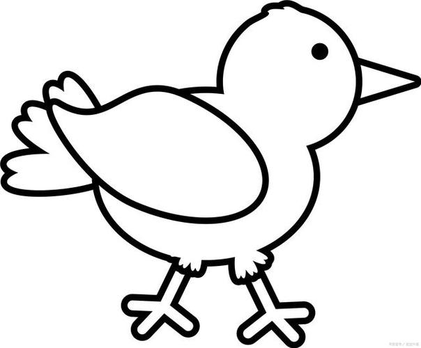 若想用简笔画来描绘这只可爱的小鸟,只需按照以下步骤操作