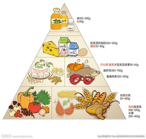 营养食物金字塔简笔画