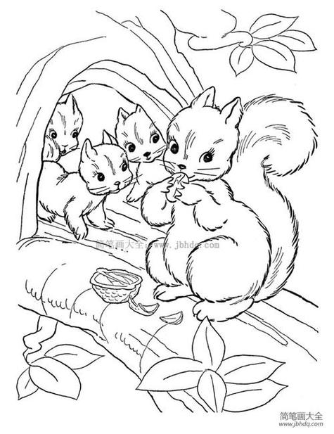 松树与松鼠的简笔画图片