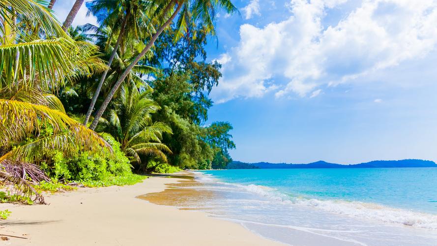 壁纸 海滩,棕榈树,蓝色的大海,天空,云彩,热带