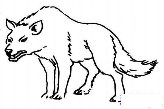 儿童关于狼的简笔画图片