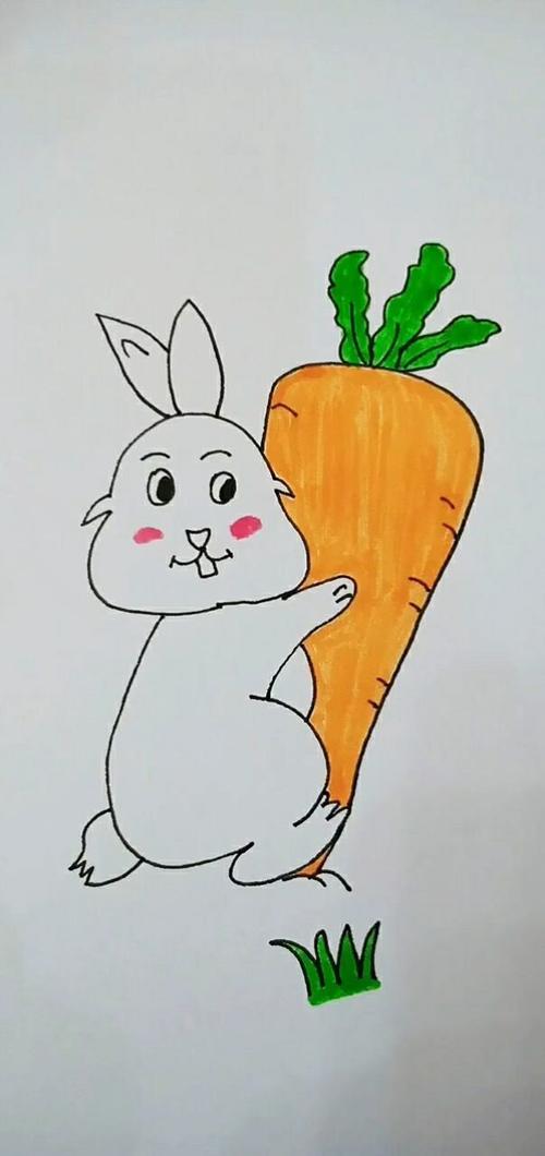 兔子萝卜简笔画彩色可爱