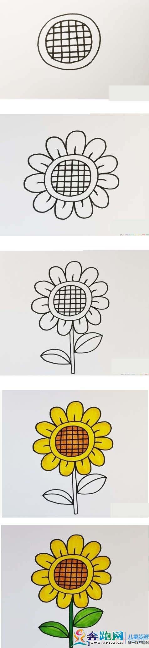 幼儿简笔画画向日葵