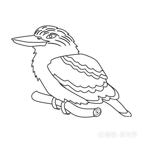 插画 笑翠鸟坐在白色背景上孤立的大纲样式的分支图标上.