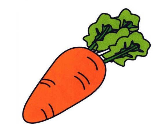 蔬菜简笔画图片带颜色涂色