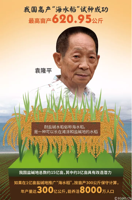 关于水稻育种专家袁隆平的手抄报