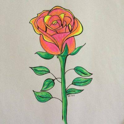 玫瑰简笔画带颜色图片