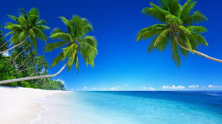 壁纸 美丽的海滩,热带天堂,棕榈树,蓝色的大海