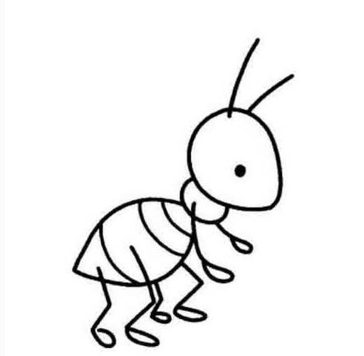 蚂蚁的种类简笔画图片大全